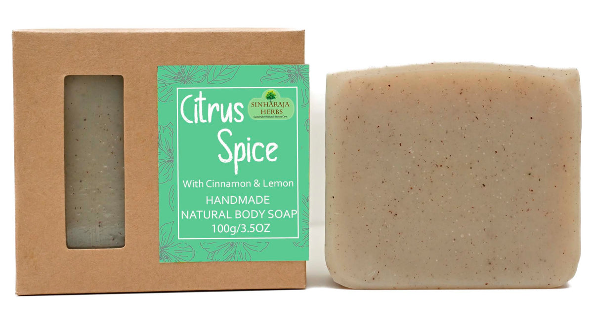 Cinnamon and Lemon Soap