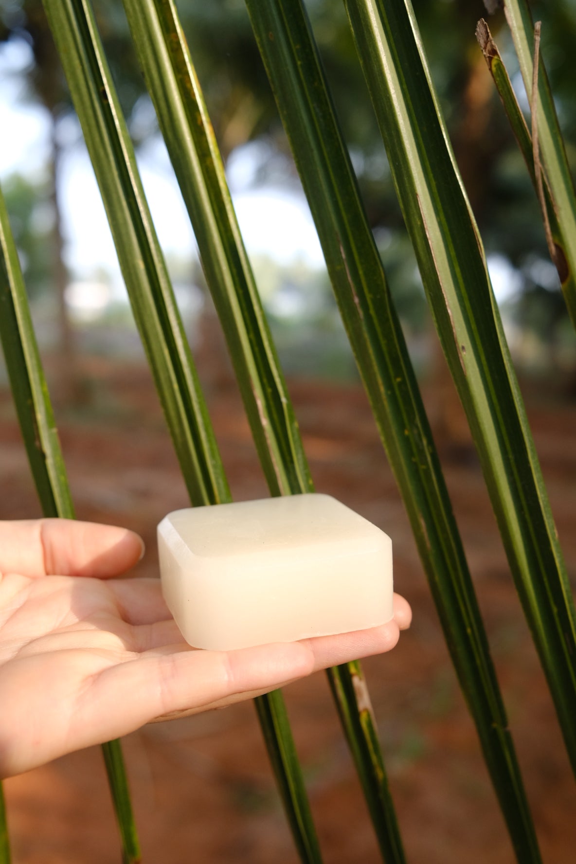 Shea Butter Conditioner Bar Blue