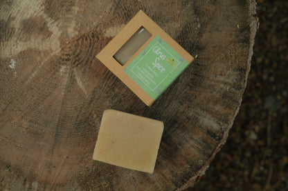 Cinnamon and Lemon Soap
