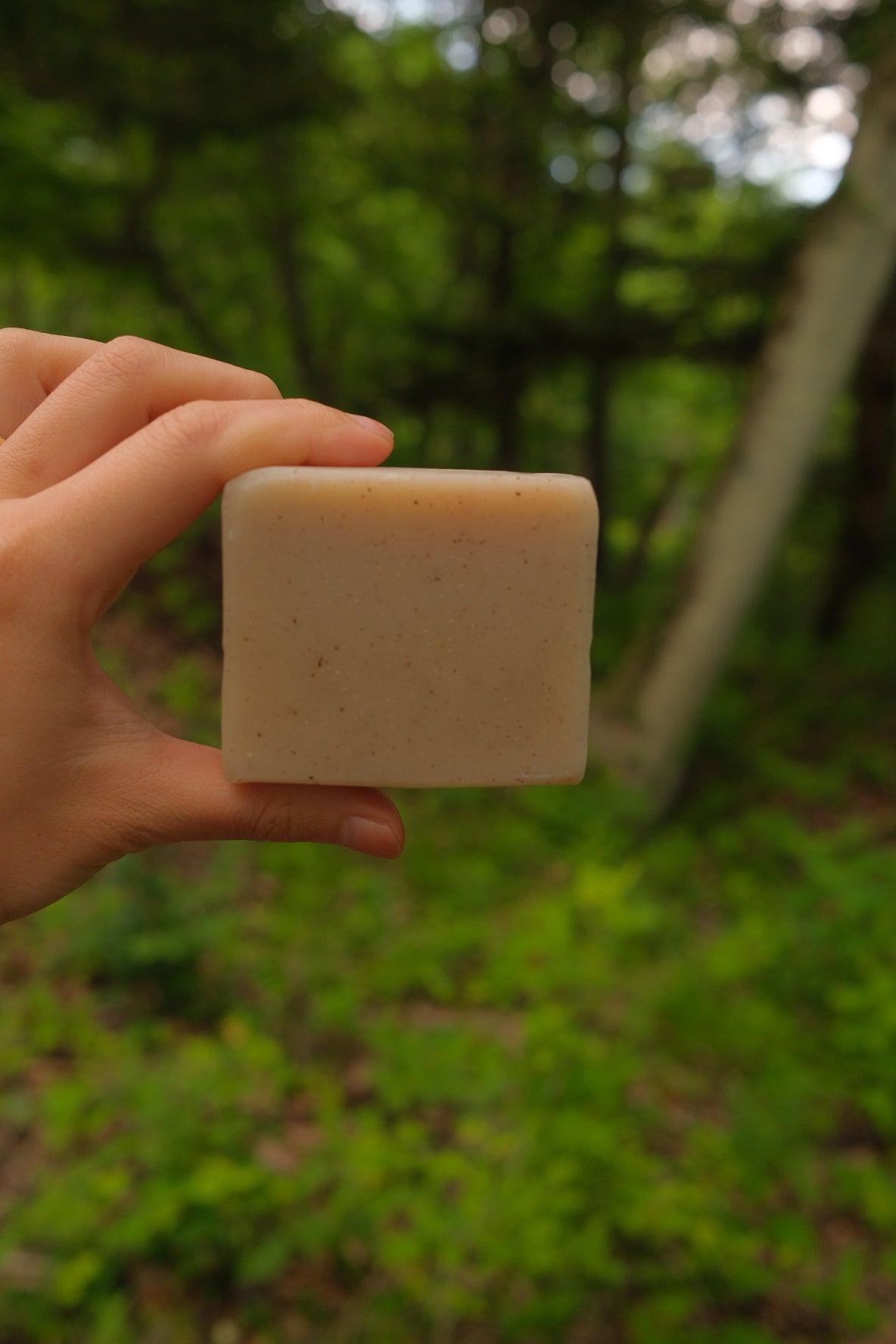 Cinnamon and Lemon Soap