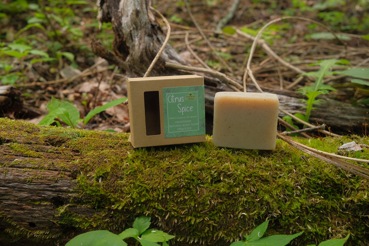 Cinnamon and Lemon Soap