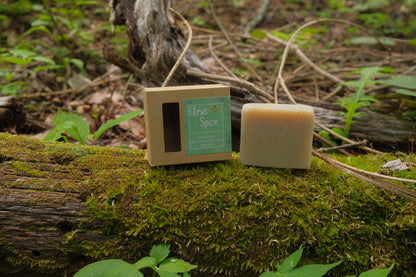 Cinnamon and Lemon Soap