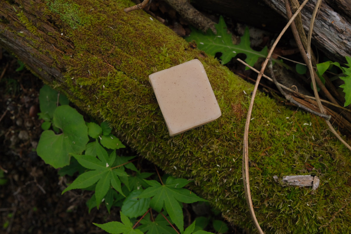 Cinnamon and Lemon Soap